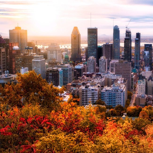 Le nettoyage professionnel à Montréal : entre exigences techniques et enjeux de performance