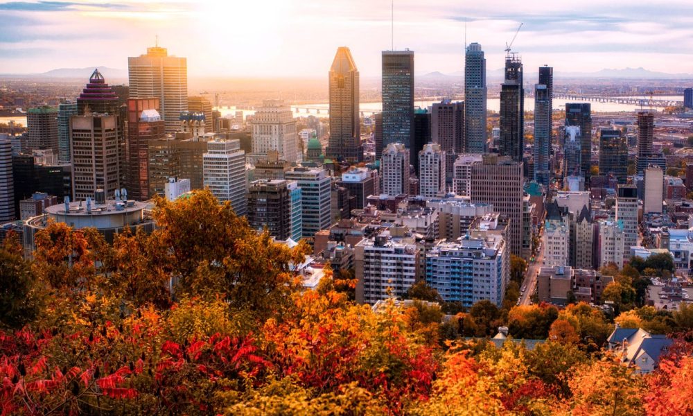 Le nettoyage professionnel à Montréal : entre exigences techniques et enjeux de performance