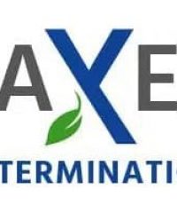 Axe Extermination | Entreprise d’extermination