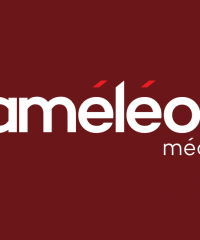 Agence web Caméléon