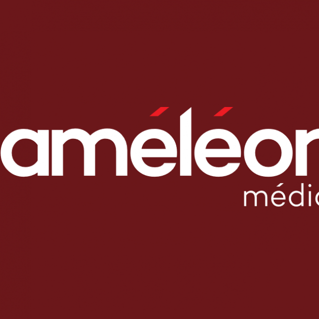 Agence web Caméléon