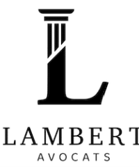 Recours en droit aérien – Lambert Avocats à Montréal