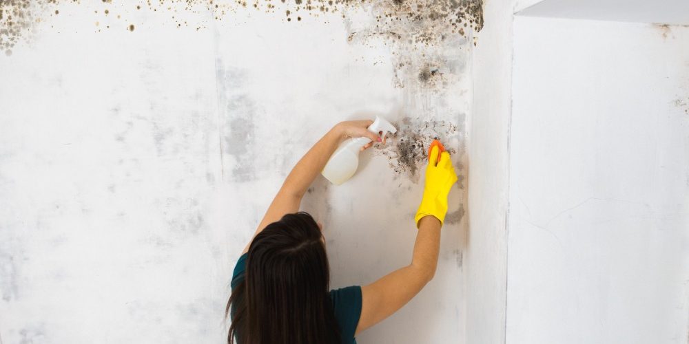 Comment éliminer définitivement la moisissure sur les murs ?