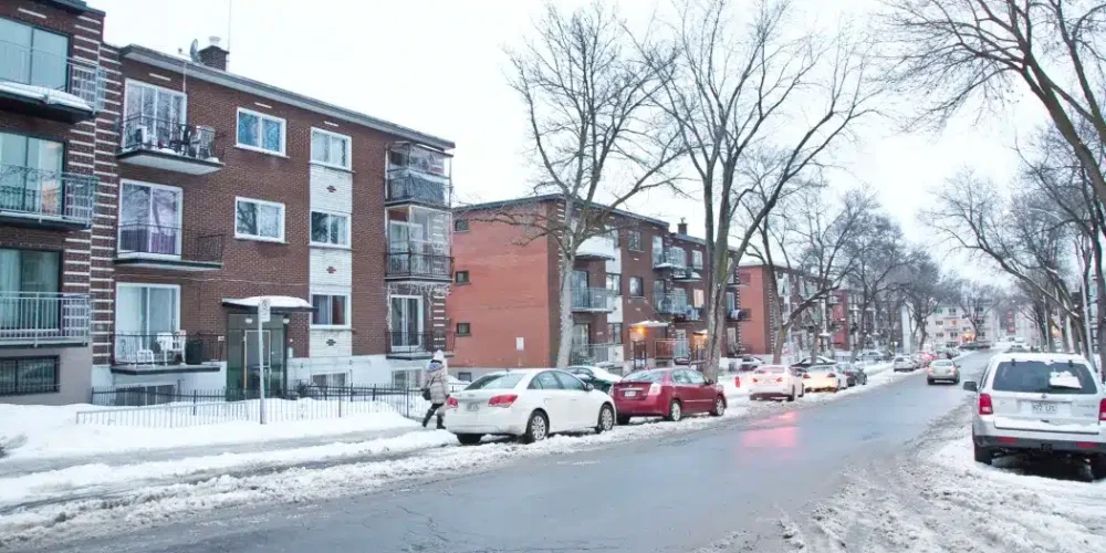 Lutter contre les rats à Montréal-Nord : Stratégies d’extermination et prévention