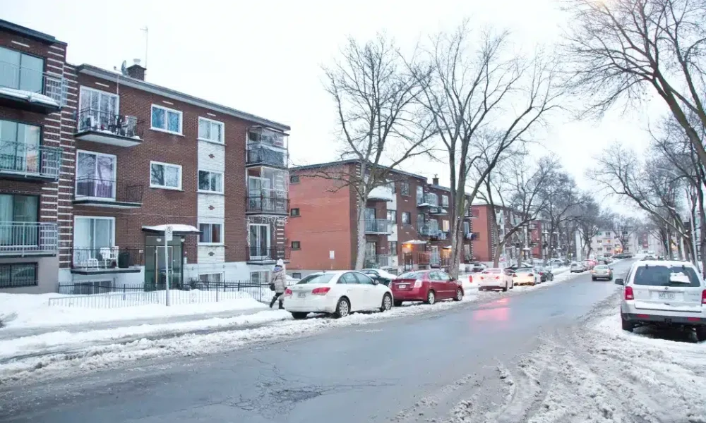 Lutter contre les rats à Montréal-Nord : Stratégies d’extermination et prévention