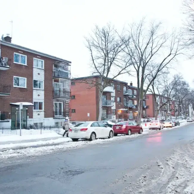 Lutter contre les rats à Montréal-Nord : Stratégies d’extermination et prévention